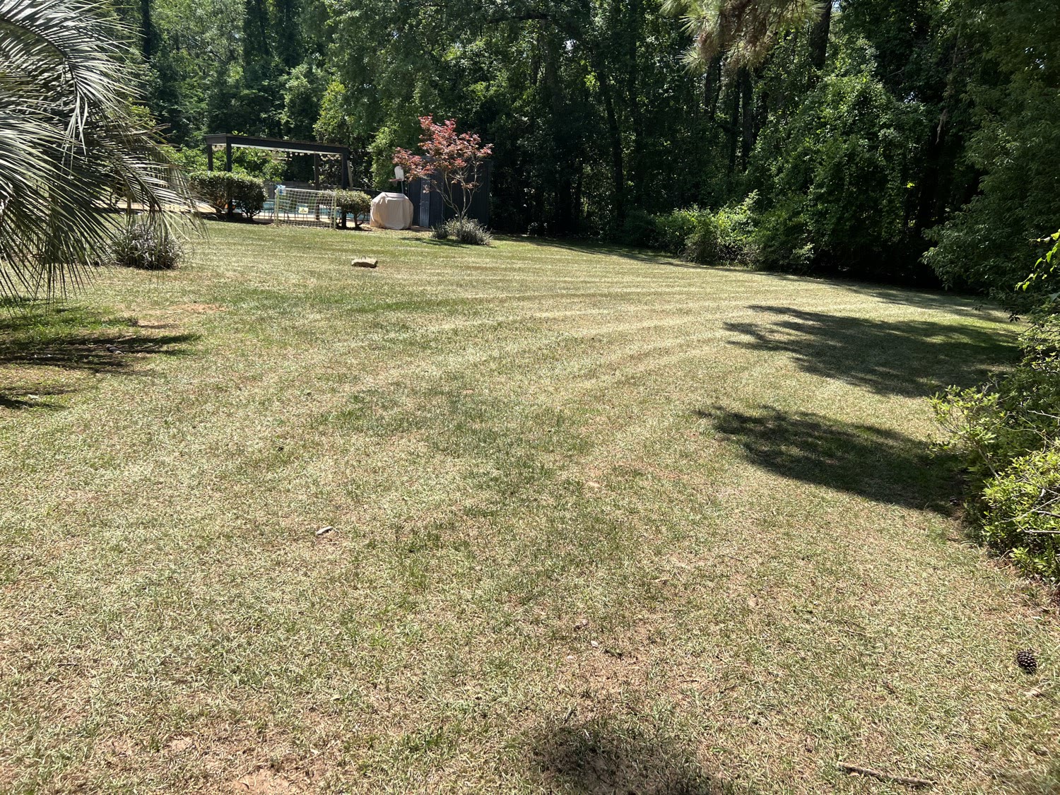 Striped residential lawn after a weekly mow